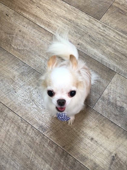 Processed with Rookie Cam