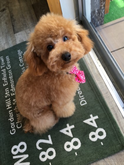 2016-01-15 10.43.22-1