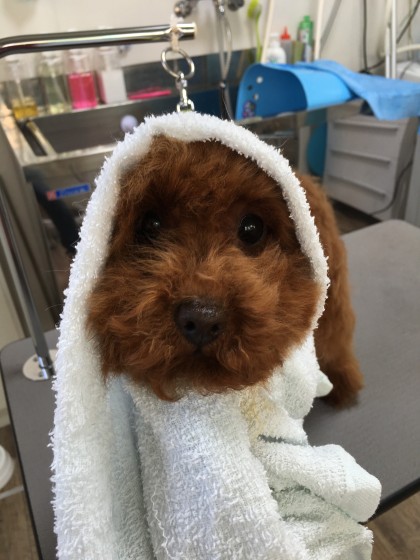 2016-01-15 12.08.44-1