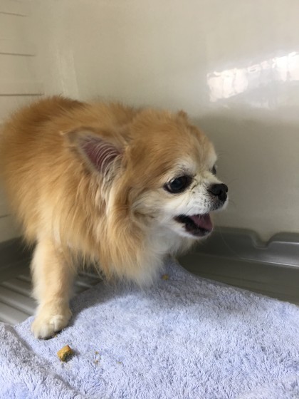 2016-01-19 11.08.30-1