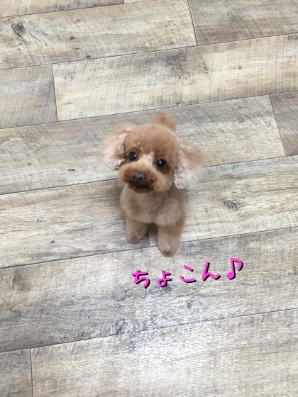 Processed with Rookie Cam