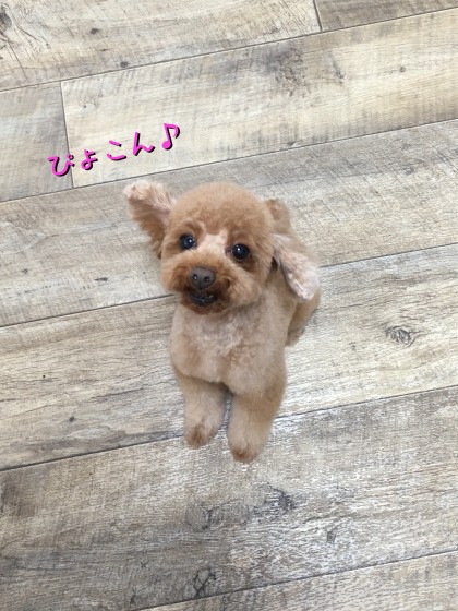 Processed with Rookie Cam