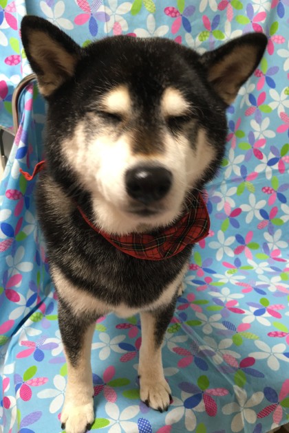 Processed with Rookie Cam