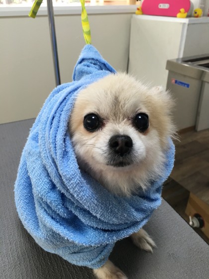 2016-01-26 11.01.11-1