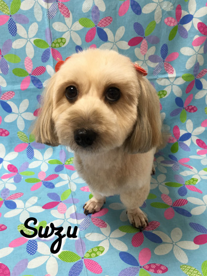 Processed with Rookie Cam