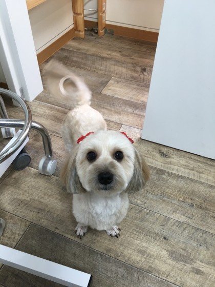 2016-01-26 15.53.38-1