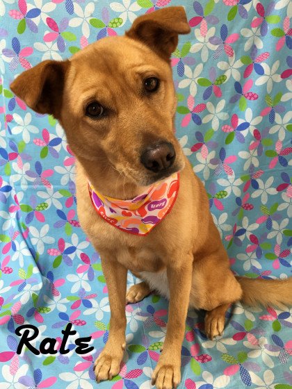 Processed with Rookie Cam