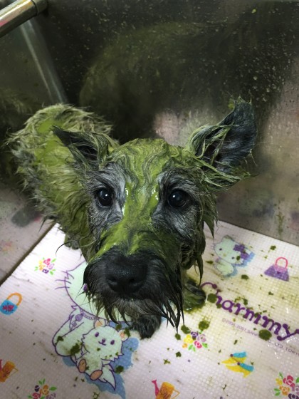 Processed with Rookie Cam