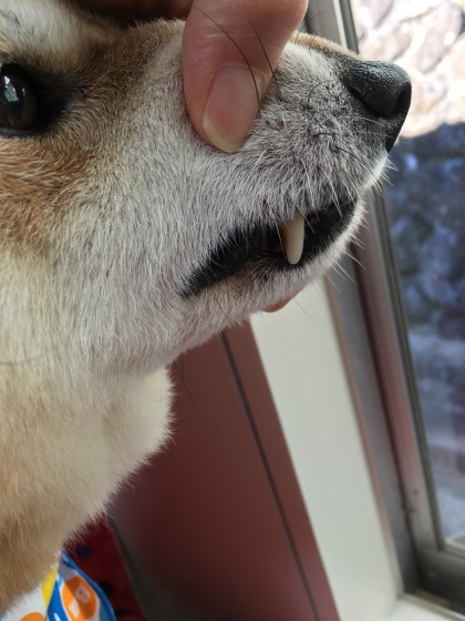 2016-02-08 13.06.12 HDR