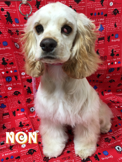 Processed with Rookie Cam