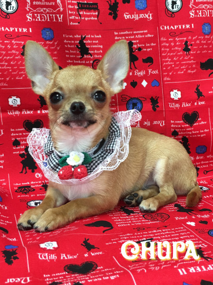 Processed with Rookie Cam