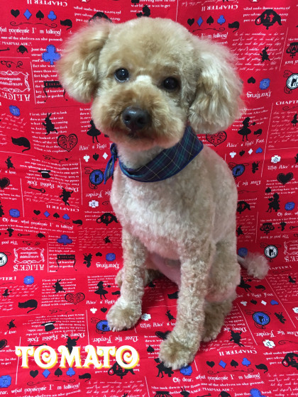 Processed with Rookie Cam