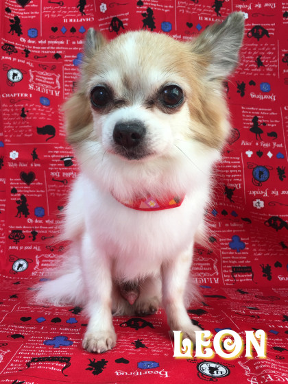 Processed with Rookie Cam