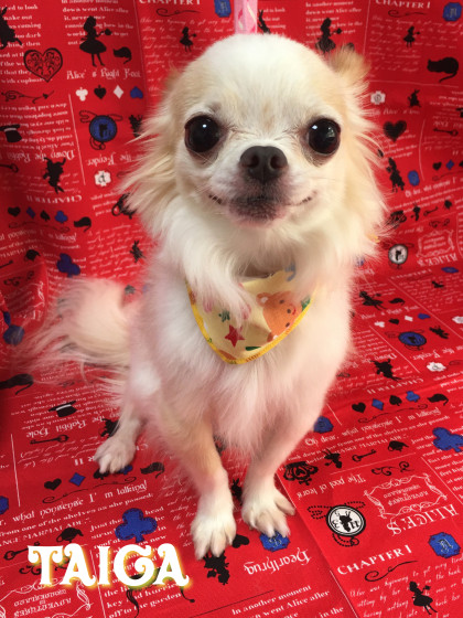 Processed with Rookie Cam