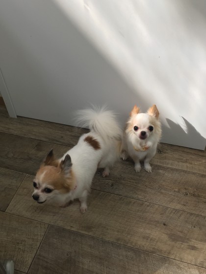 2016-02-16 13.08.31 HDR