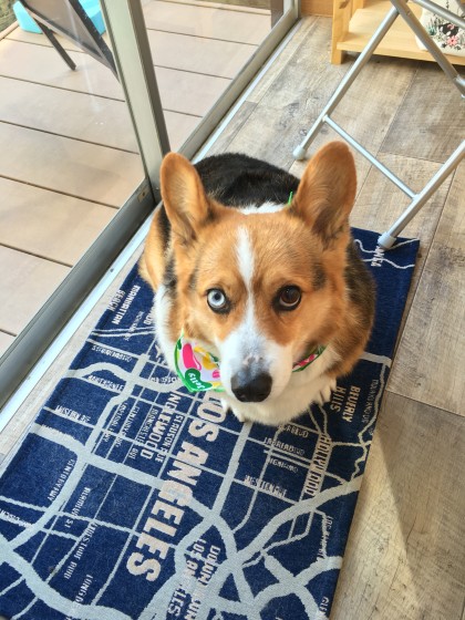 2016-02-19 12.38.19 HDR