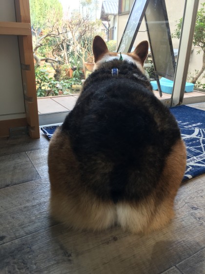 2016-02-19 12.51.14 HDR