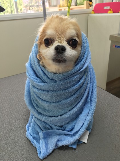 2016-02-22 10.02.36 HDR