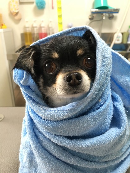 2016-02-23 10.40.21-1