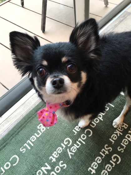 2016-02-23 11.59.10-1