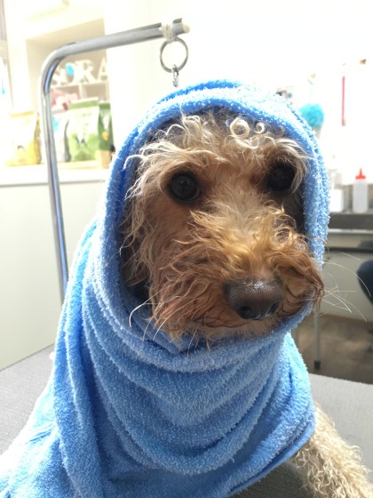 2016-02-23 13.49.48-1