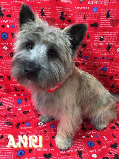 Processed with Rookie Cam