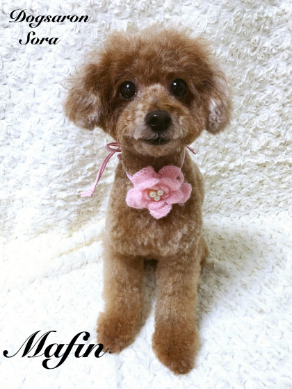 Processed with MOLDIV