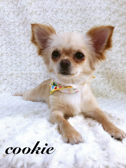 Processed with MOLDIV