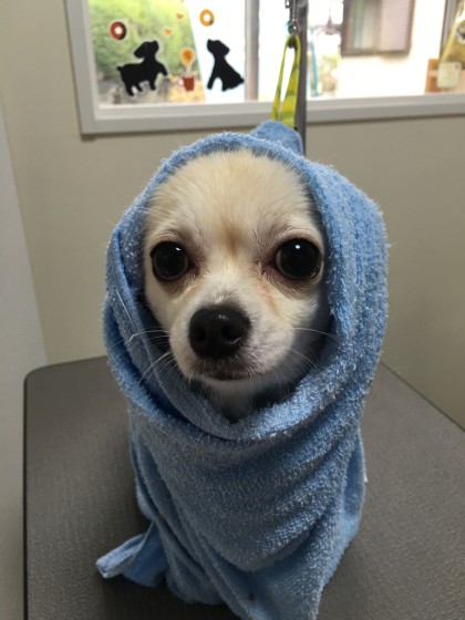 2016-03-07 14.09.09-1