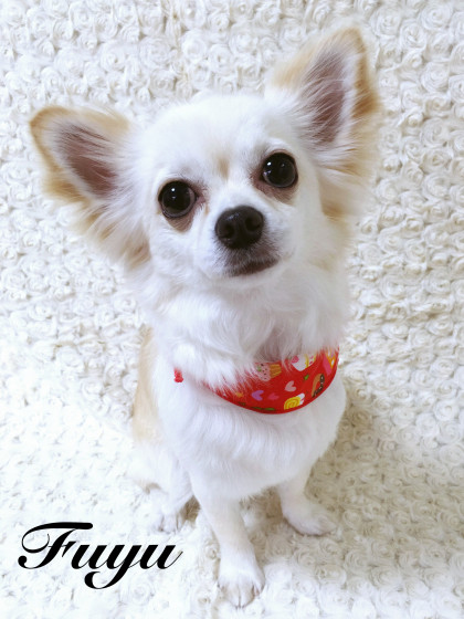 Processed with MOLDIV