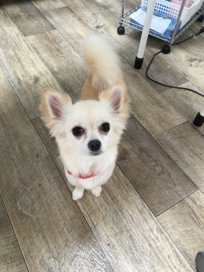 2016-03-07 15.11.43-1