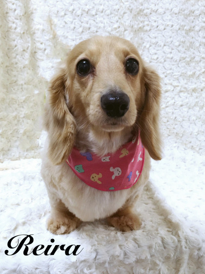 Processed with MOLDIV