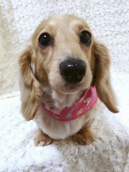 Processed with MOLDIV