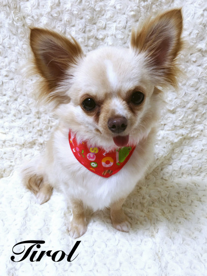 Processed with MOLDIV