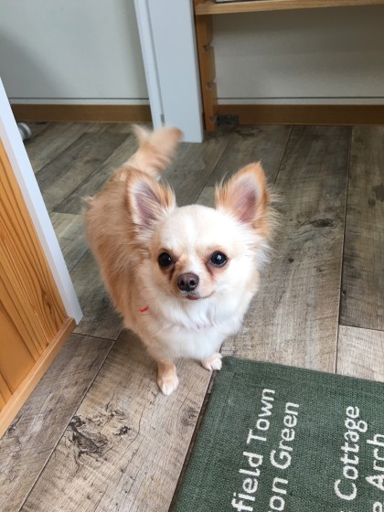 2016-03-09 11.45.24-1