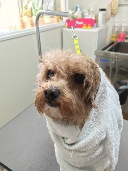 2016-03-10 10.28.22 HDR