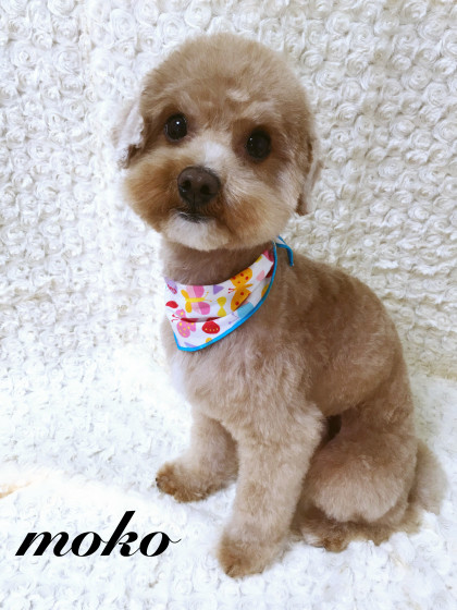 Processed with MOLDIV