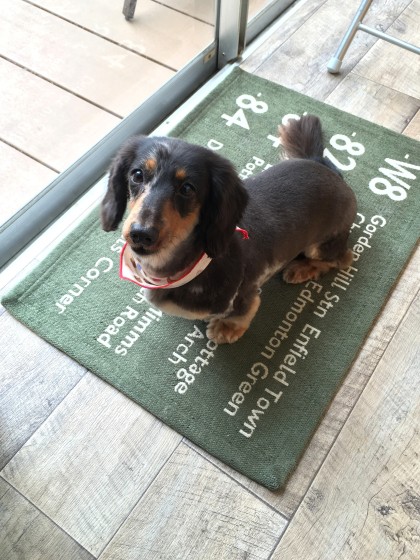 Processed with MOLDIV