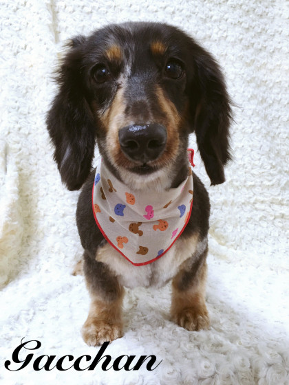 Processed with MOLDIV