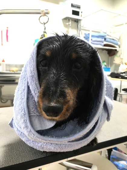 Processed with MOLDIV