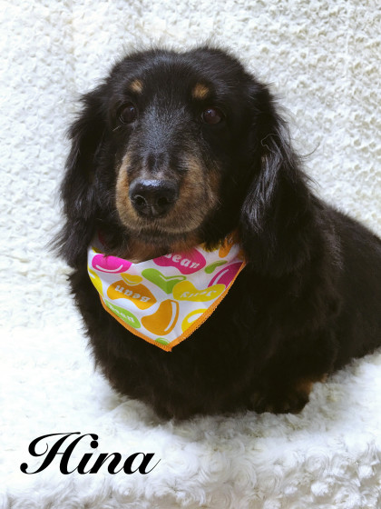 Processed with MOLDIV