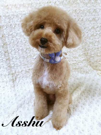 Processed with MOLDIV