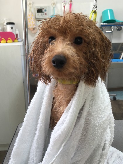 Processed with MOLDIV