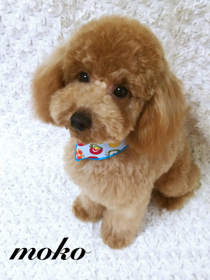 Processed with MOLDIV