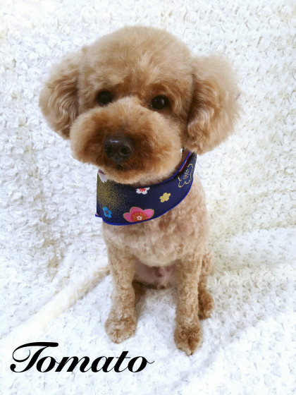 Processed with MOLDIV