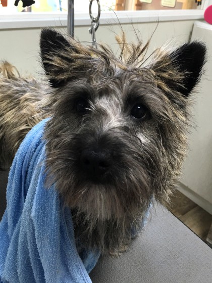 Processed with MOLDIV