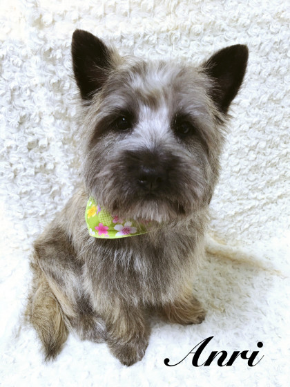 Processed with MOLDIV