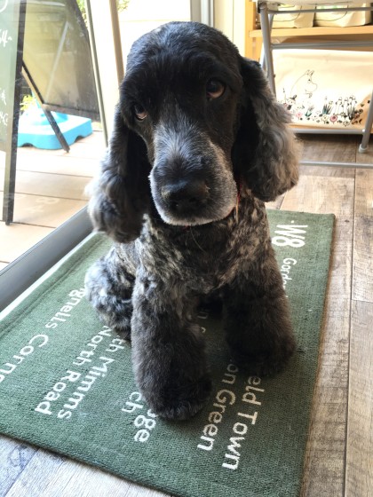 Processed with MOLDIV