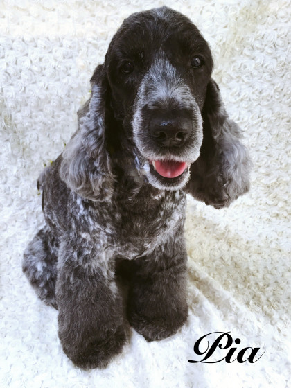 Processed with MOLDIV