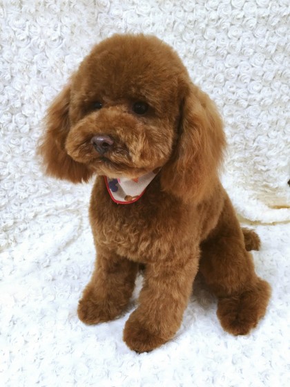 Processed with MOLDIV